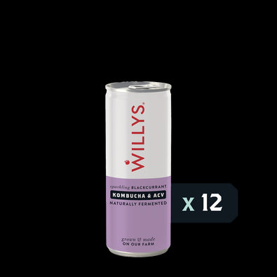 Fermented Blackcurrant Switchel