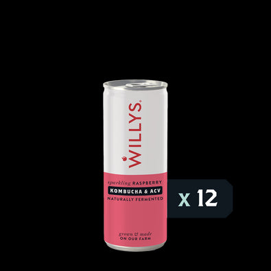 Fermented Raspberry Switchel