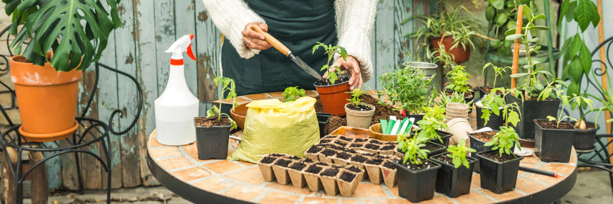 Apple Cider Vinegar for Gardening